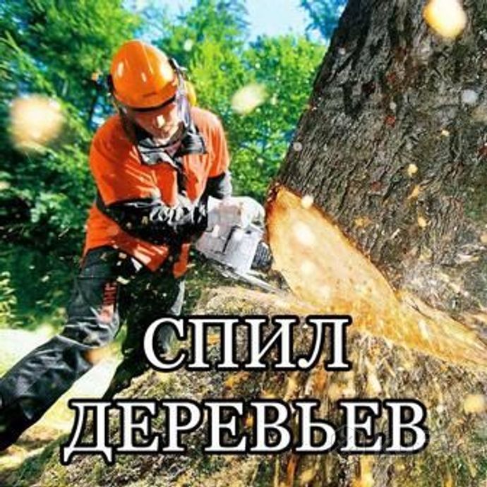 Спил деревьев Брест и область